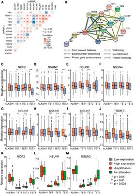 RNA 5-Methylcytosine Regulators Contribute to Metabolism Heterogeneity and Predict Prognosis in Ovarian Cancer